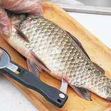 Ecaille Poisson - zoodus