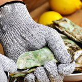 Gants anti-coupure - zoodus